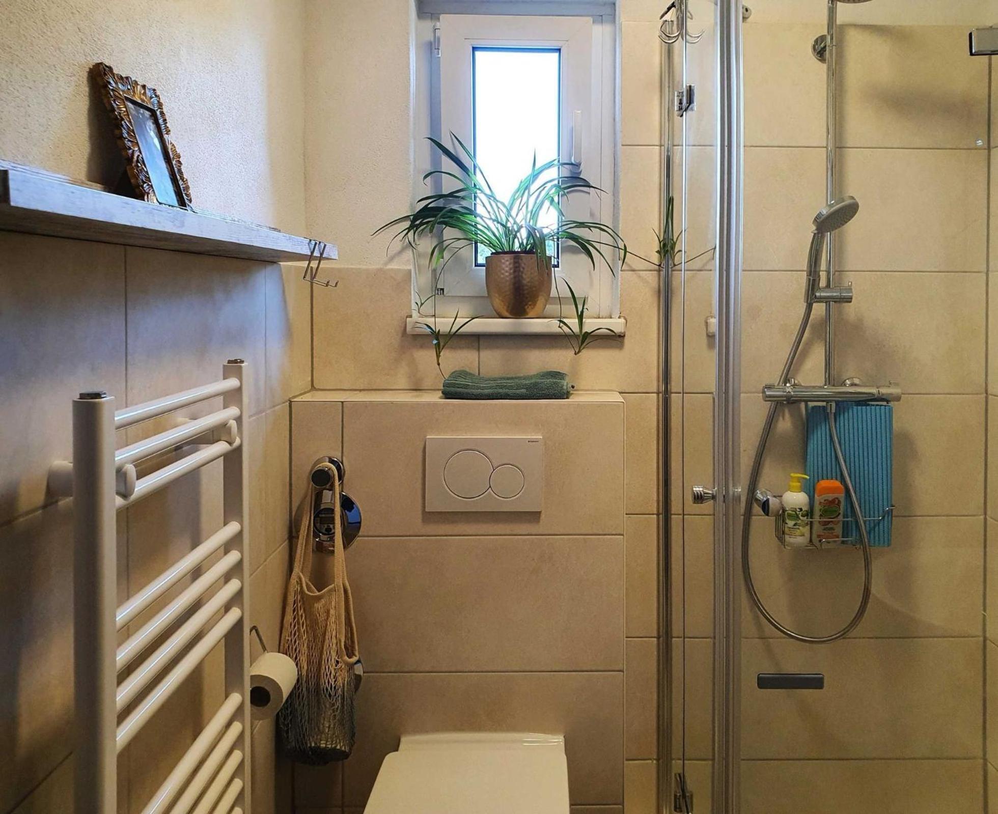 Kleinod Am Kurpark Apartment Bad Zwesten Ngoại thất bức ảnh